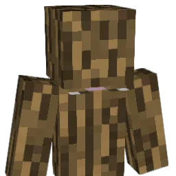 Tayem20 Minecraft avatar bust