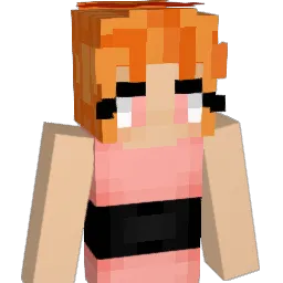 Tbozy_ Minecraft avatar bust