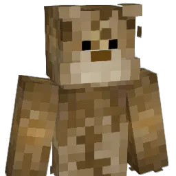 Tcddy23's Minecraft skin