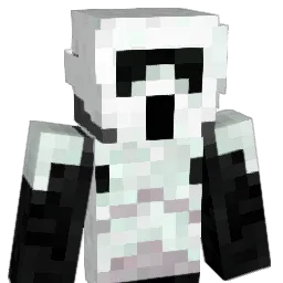 TeamSalway Minecraft avatar bust