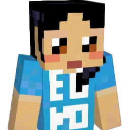 TechCamper1's Minecraft skin