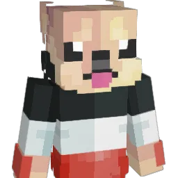Techmaster23 Minecraft avatar bust