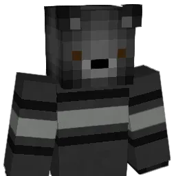 TeddyHatesBugs Minecraft avatar bust