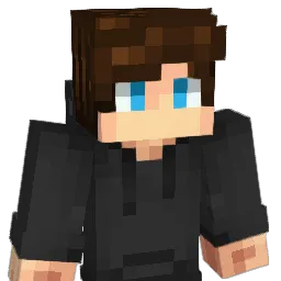 Tee_21 Minecraft avatar bust