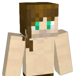 TehGoldyLockz Minecraft avatar bust