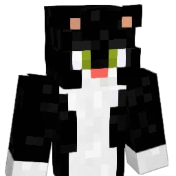 Teo45dore Minecraft avatar bust