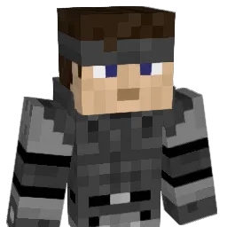 Terry222222 Minecraft avatar bust