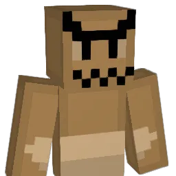 Test_West's Minecraft skin