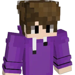 TestedSokr Minecraft avatar bust