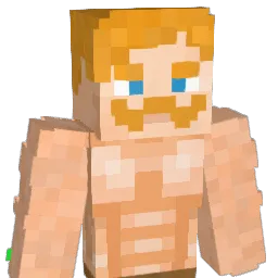 TetraXXL Minecraft avatar bust