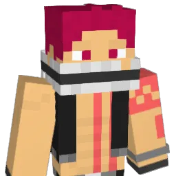 TexAWP's Minecraft skin