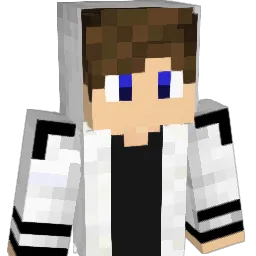 TexaGames Minecraft avatar bust