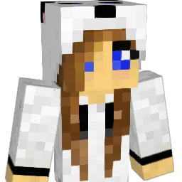 Texas711 Minecraft avatar bust