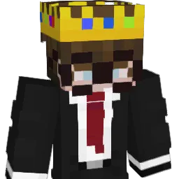 Th3V1kingGuy