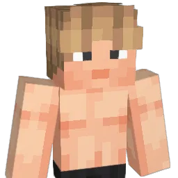 That1Kid43214 Minecraft avatar bust