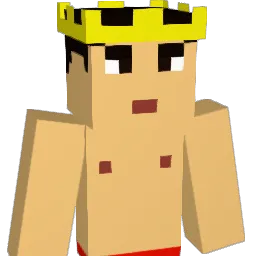 ThatsNiceBro Minecraft avatar bust