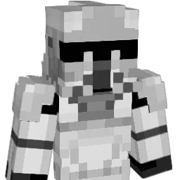 The1stryguy