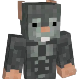 TheAngryReich's Minecraft skin