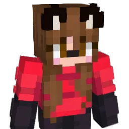 TheBidanker's Minecraft skin