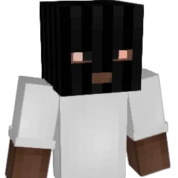 TheBitcoinBandit Minecraft avatar bust