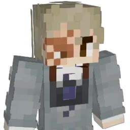 TheBowl0fRice Minecraft avatar bust