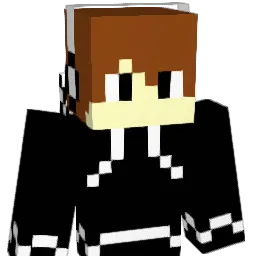 TheCrafter4114 Minecraft avatar bust
