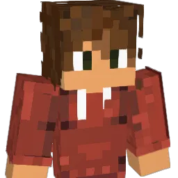 TheDarkside2911 Minecraft avatar bust