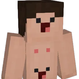TheDestrier Minecraft avatar bust
