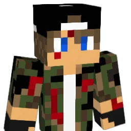 TheEnry25 Minecraft avatar bust