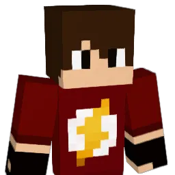 TheFl4SH_PlaY Minecraft avatar bust