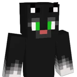 TheFluffyFatCat Minecraft avatar bust