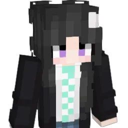 TheHYR Minecraft avatar bust