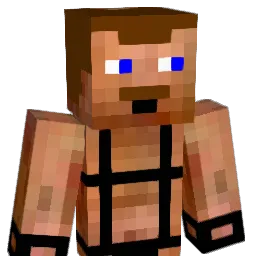 TheHighSage's Minecraft skin
