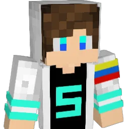 TheImSebas Minecraft avatar bust