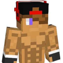 TheJaniii Minecraft avatar bust