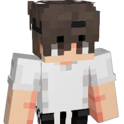 TheKarpata99 Minecraft avatar bust
