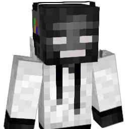 TheMater20 Minecraft avatar bust