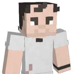 TheMinecrafterb Minecraft avatar bust
