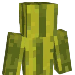 TheMrMelonMan Minecraft avatar bust
