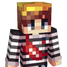 TheNerli Minecraft avatar bust