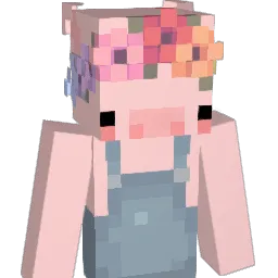 TheNewPlayer_