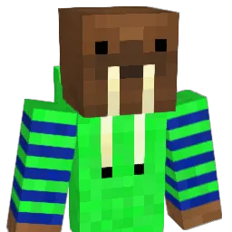 TheNinjaWalrus Minecraft avatar bust