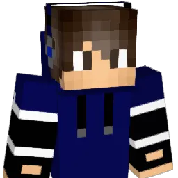 TheNmGamers Minecraft avatar bust