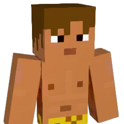 ThePerFecT96 Minecraft avatar bust
