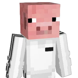 ThePorky_ Minecraft avatar bust