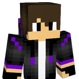 TheRealNibe Minecraft avatar bust