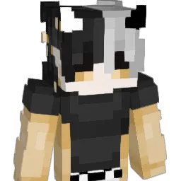 TheSaintThief
