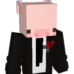 TheSirJ