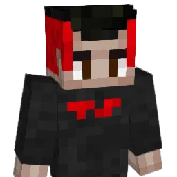TheSwissDoctor
