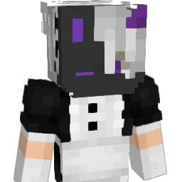 TheTaxPerson